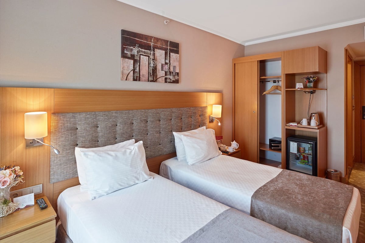 Standard Double or Twin Room | Een minibar, een kluis op de kamer, een bureau, extra bedden