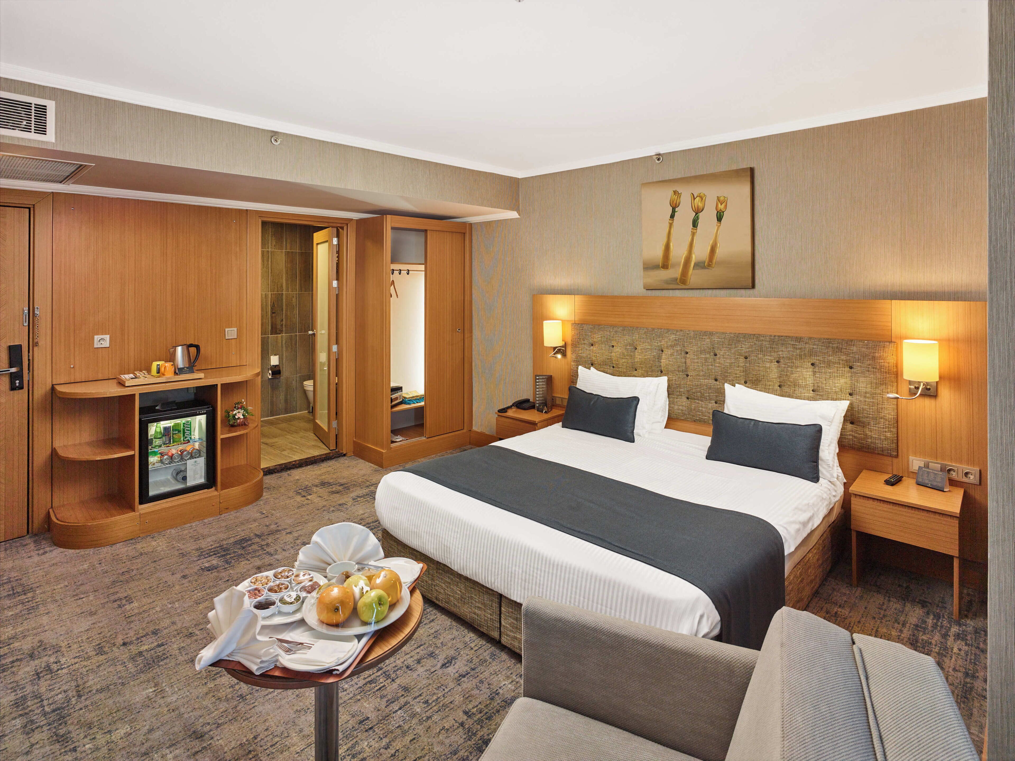 Standard Double or Twin Room | Minibar, caja de seguridad en la habitación, escritorio y camas extra 