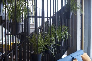 A staircase with black railings and potted plants.