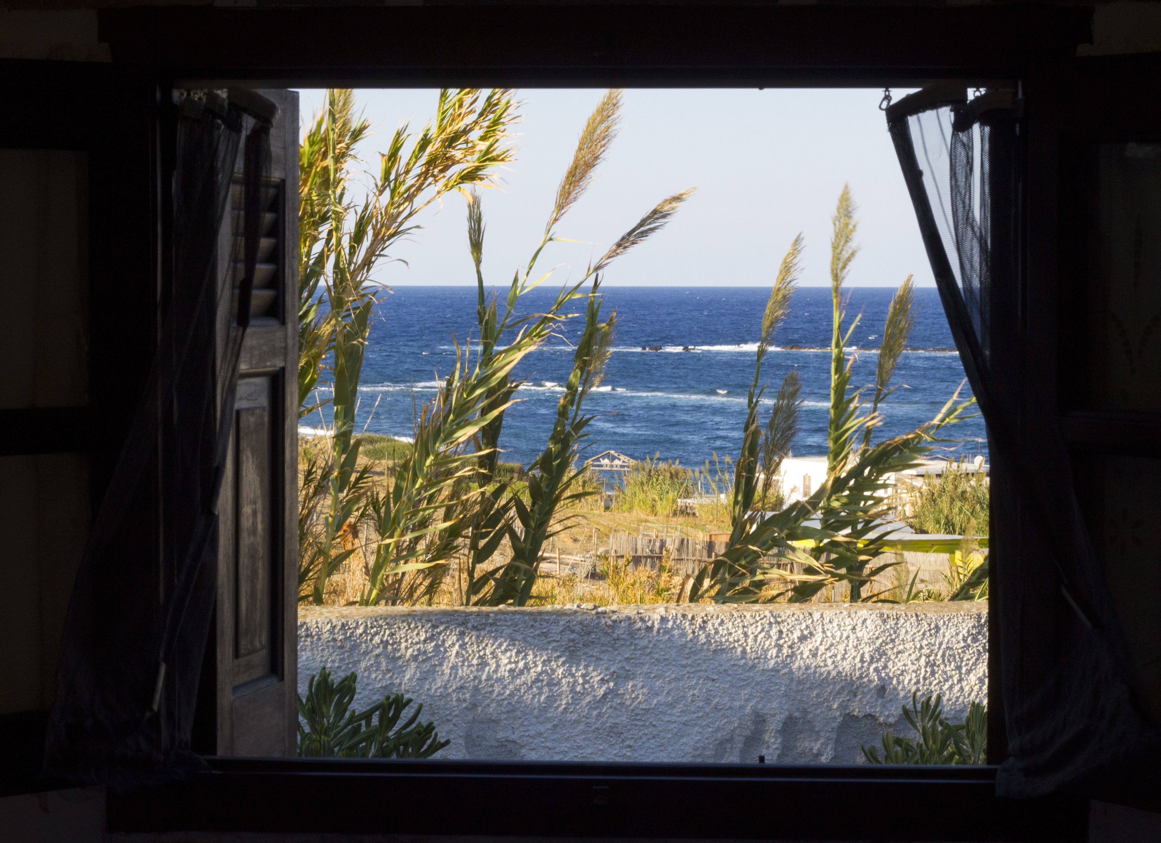 Vista desde la habitación