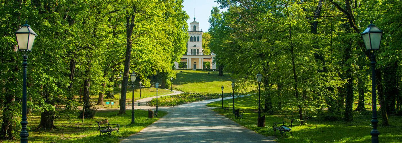 A park pathway leading to a building with a dome and columns, surrounded by trees and benches.