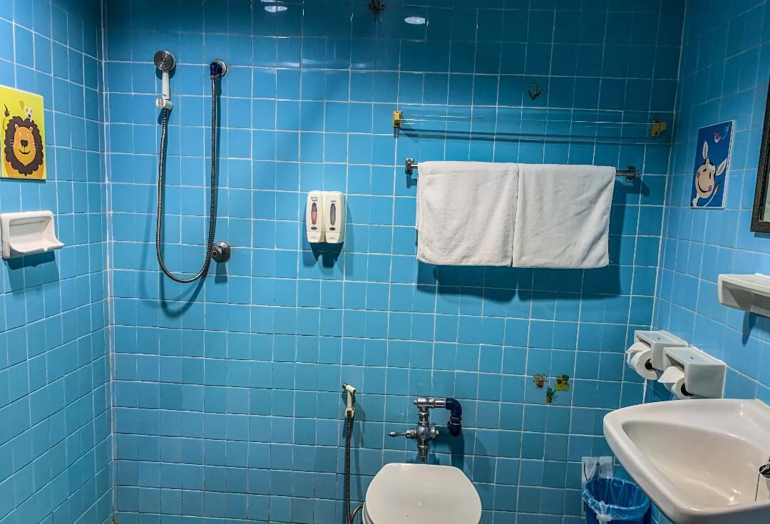 standard room, fan | bathroom | shower, rainfall showerhead, free toiletries, towels