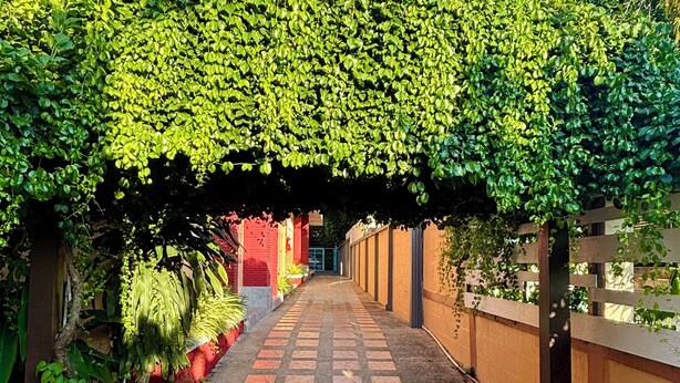Un paseo techado con suelo de baldosas, rodeado de follaje y un edificio con puerta roja.