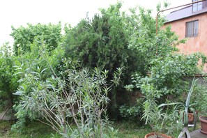 บริเวณที่พัก