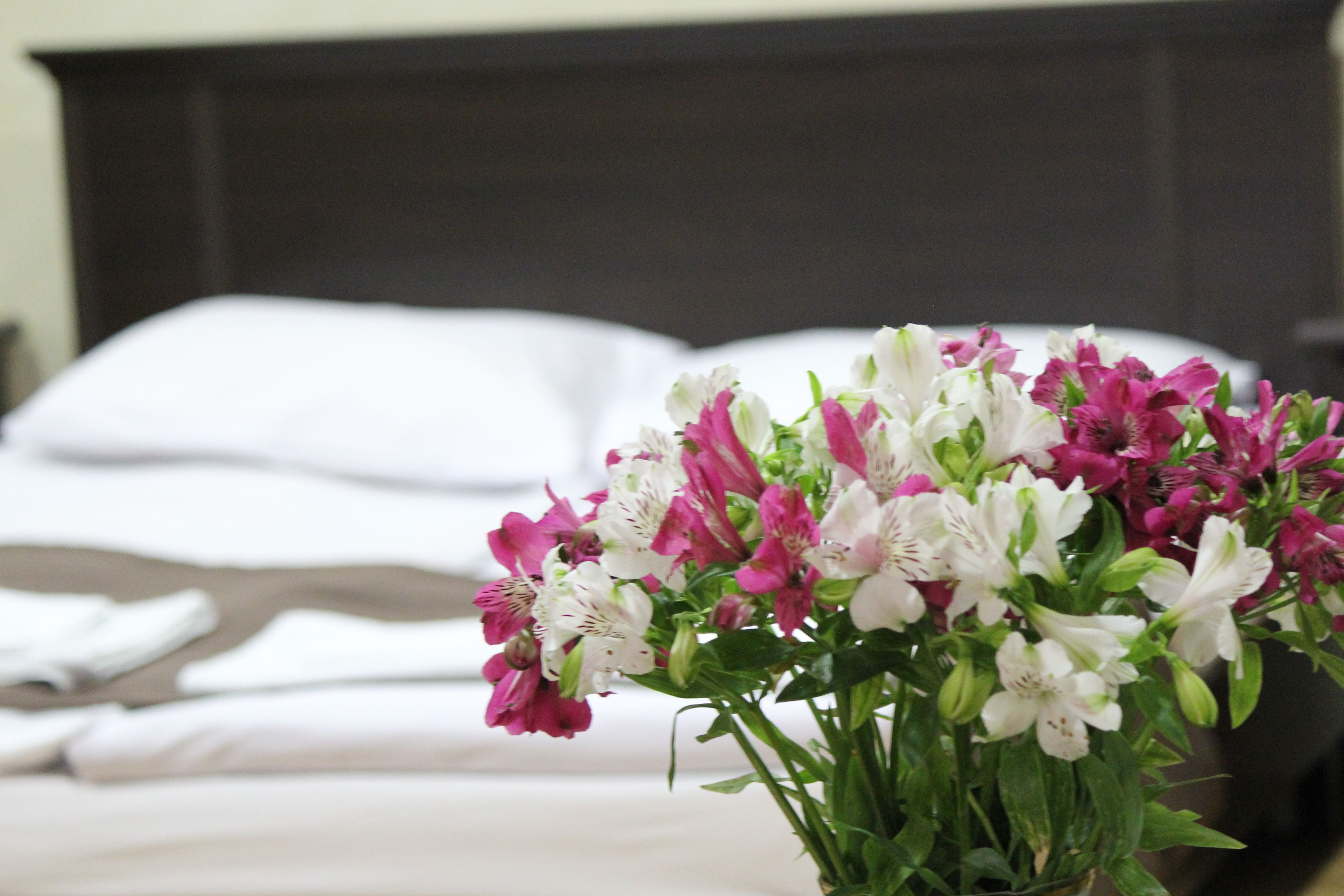 Photo - Best View Hotel