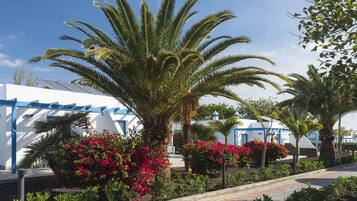 Caja de seguridad en la habitación, escritorio y insonorización