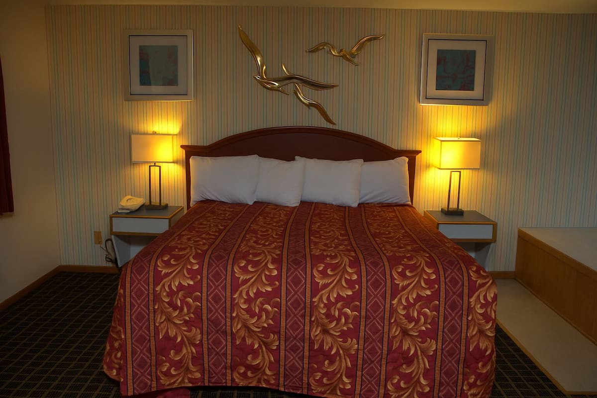A hotel room with a large bed, two bedside lamps, a telephone, and a wall-mounted bird sculpture.