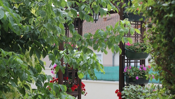 A garden pathway leading to a wooden pergola with climbing plants and flowers. - Beausejour Hotel (Chauvigny)