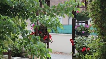 Vườn