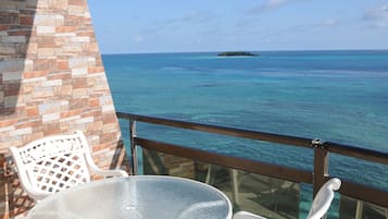 Vista desde la propiedad