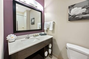 Combined shower/bathtub, free toiletries, hair dryer, towels