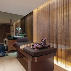 Couples treatment room(s), hot tub, body treatments, facials