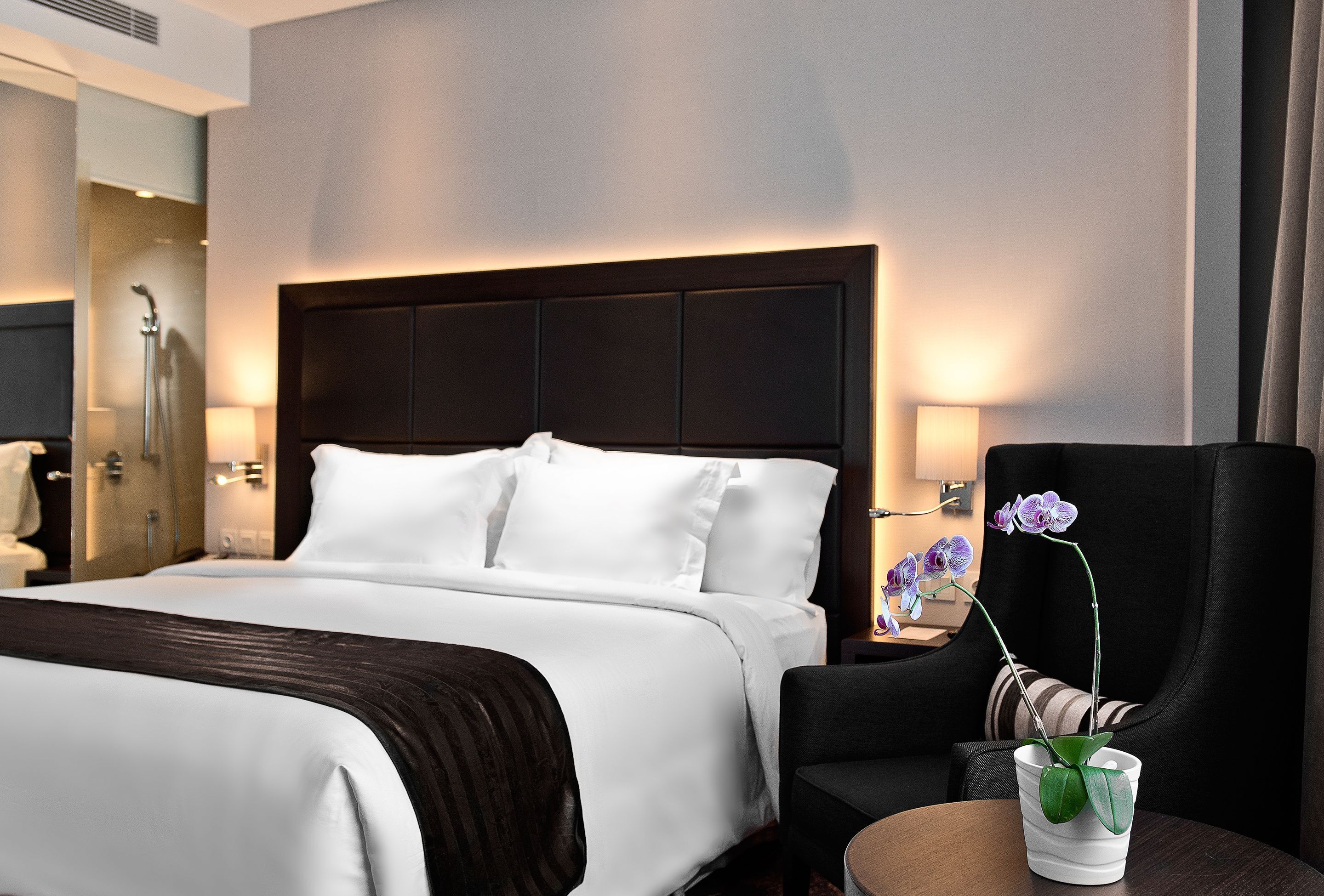 Articles de minibar gratuits, coffre-fort, bureau, lit de bébé (gratuit)