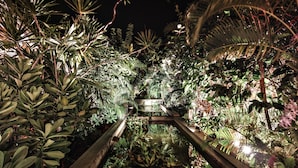 Een tuin bij nacht met een houten pad dat leidt naar een centraal gebouw.