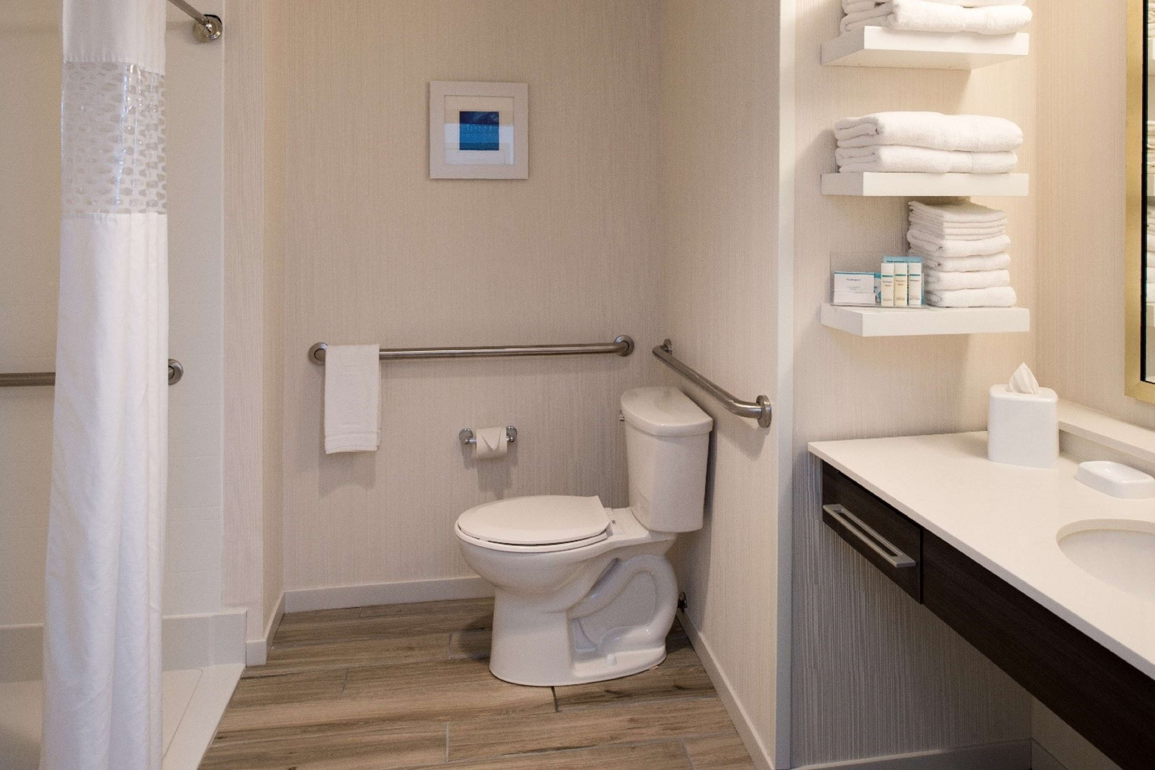 room, 1 king bed, accessible, non smoking (roll in shower) | bathroom | combined shower/bathtub, free toiletries, towels