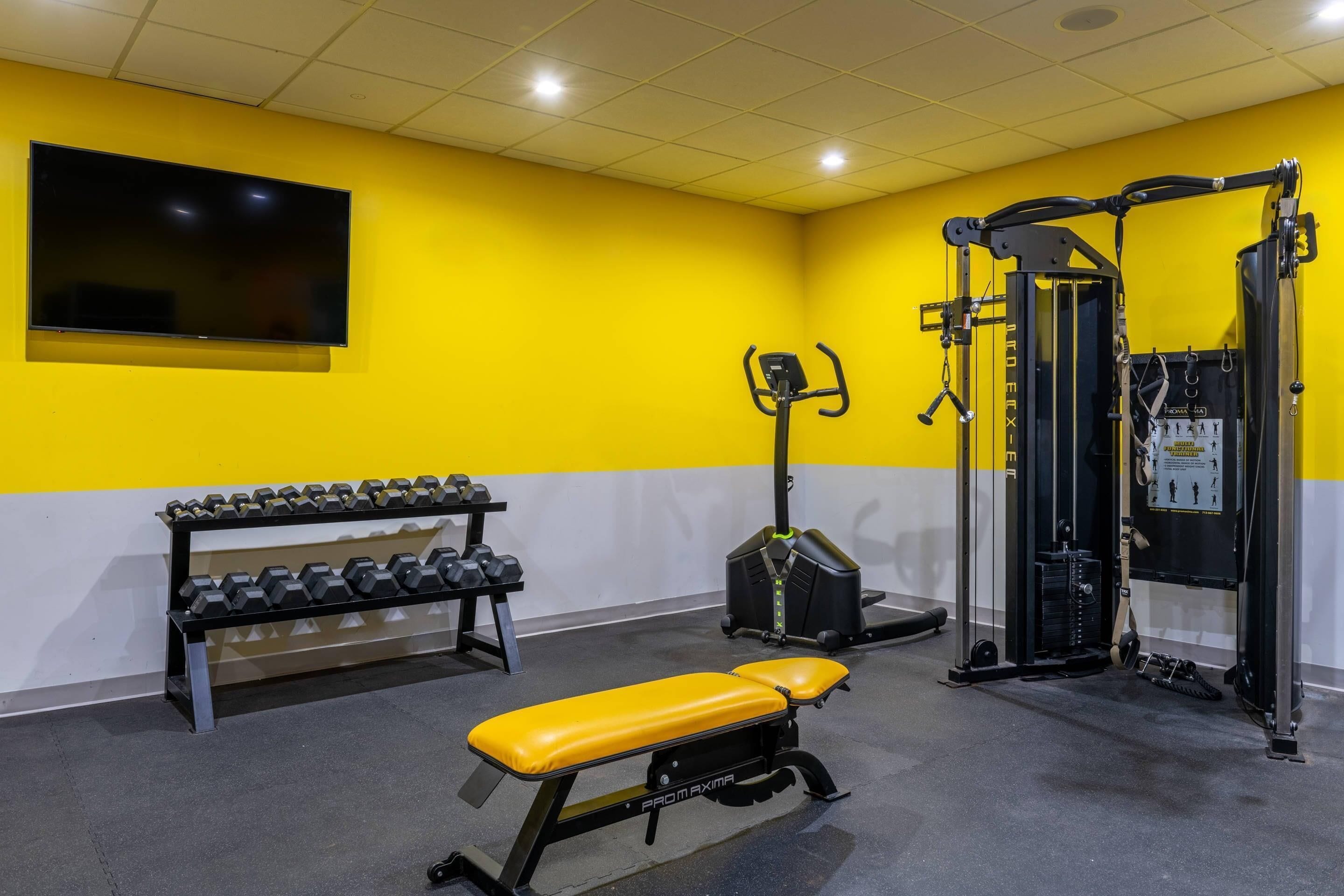 A gym with a bench, dumbbells, and a squat rack.