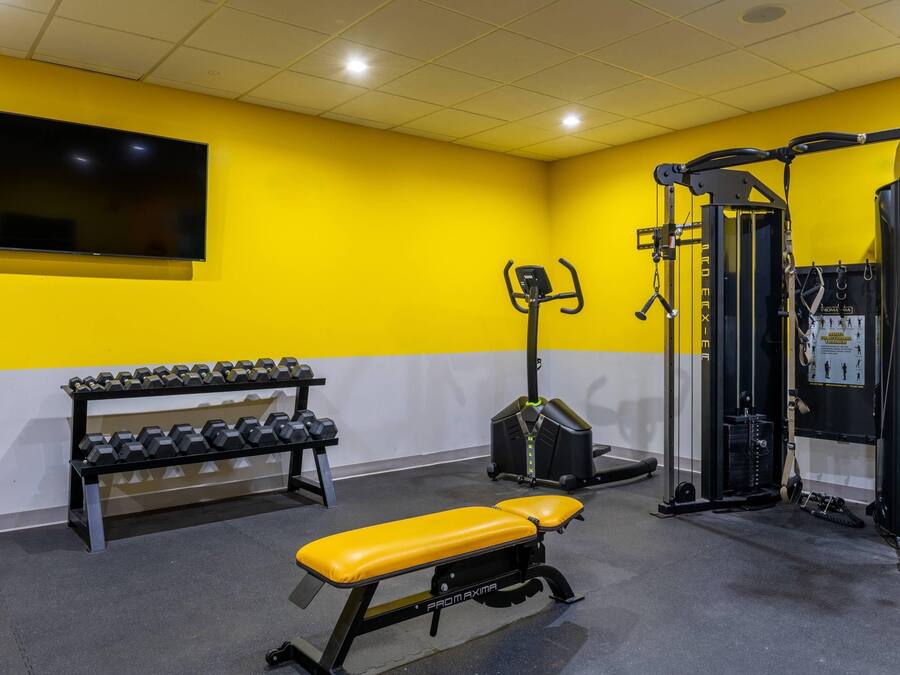 A gym with a bench, dumbbells, and a squat rack.