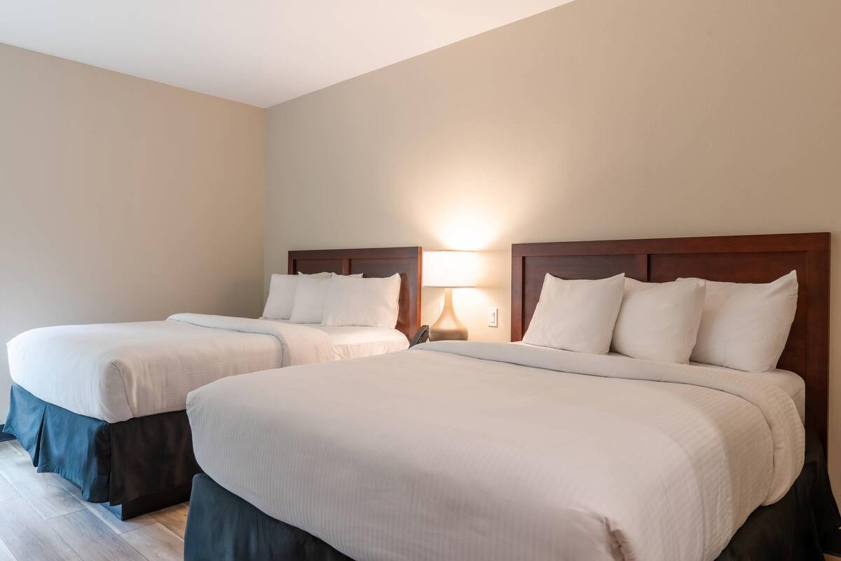 Two single beds with wooden headboards, white bedding, and a bedside lamp.