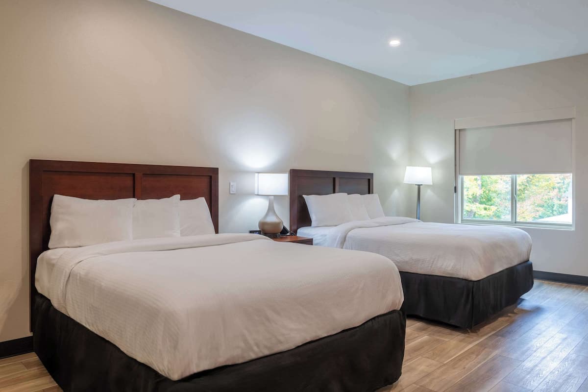 1 habitación y ropa de cama de alta calidad