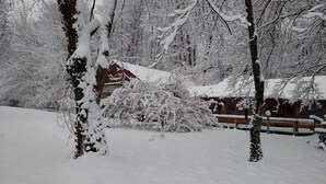 A cabin surrounded by snow-covered trees. - Innisfaire (Traverse City)