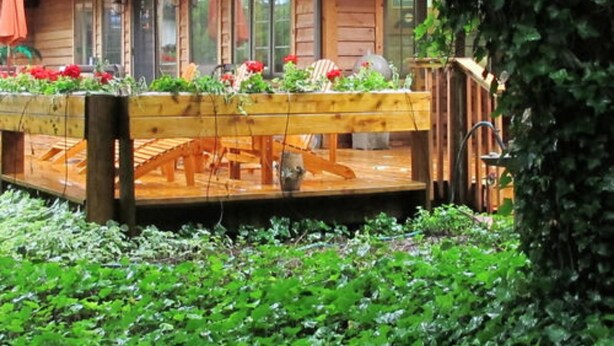 A wooden cabin with a deck, surrounded by lush greenery. - Innisfaire (Traverse City)