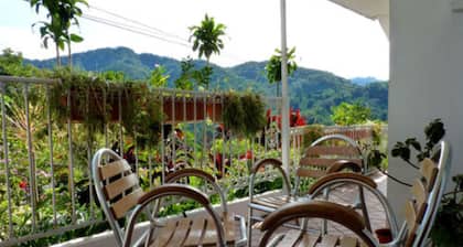 Autana Bed and Breakfast - Hostel