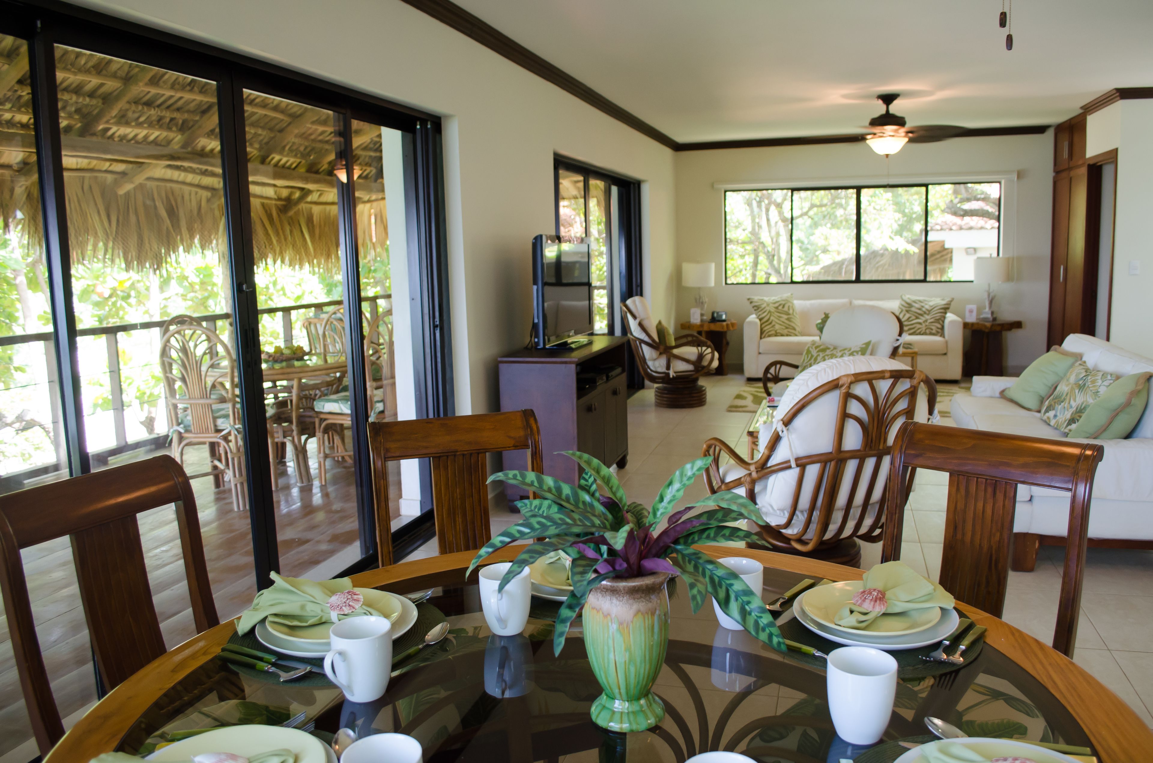 Luxury Villa, 2 Bedrooms, Terrace, Ocean View | Living area | 42-inch flat-screen TV with satellite channels, TV, table football