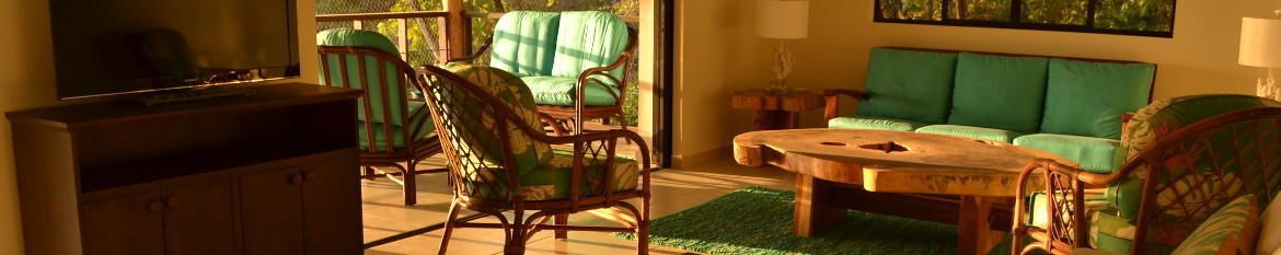 luxury villa, 1 king bed, living room, ocean view | living area | 42-inch flat-screen tv with satellite channels, tv, table football