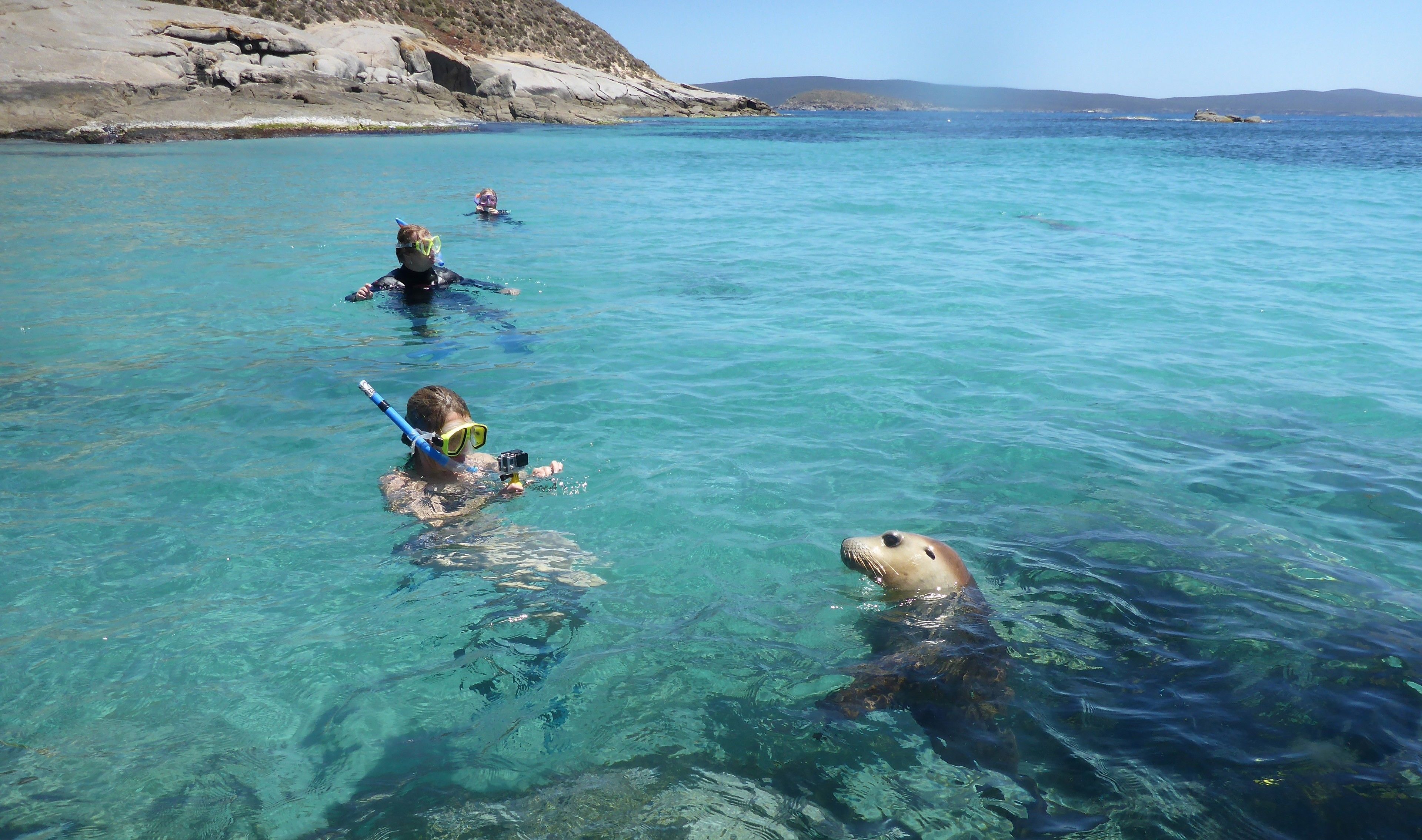 Økoturer