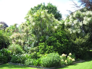 A lush garden with various tropical plants and trees.