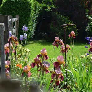 Garden - Sandhurst Farm Forge (Sittingbourne)