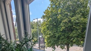 Une fenêtre avec des plantes d’intérieur, une vue dégagée sur un arbre et un panneau visible au loin.
