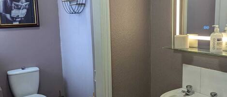 A bathroom with a toilet, a sink, a mirror, and a framed picture on the wall.