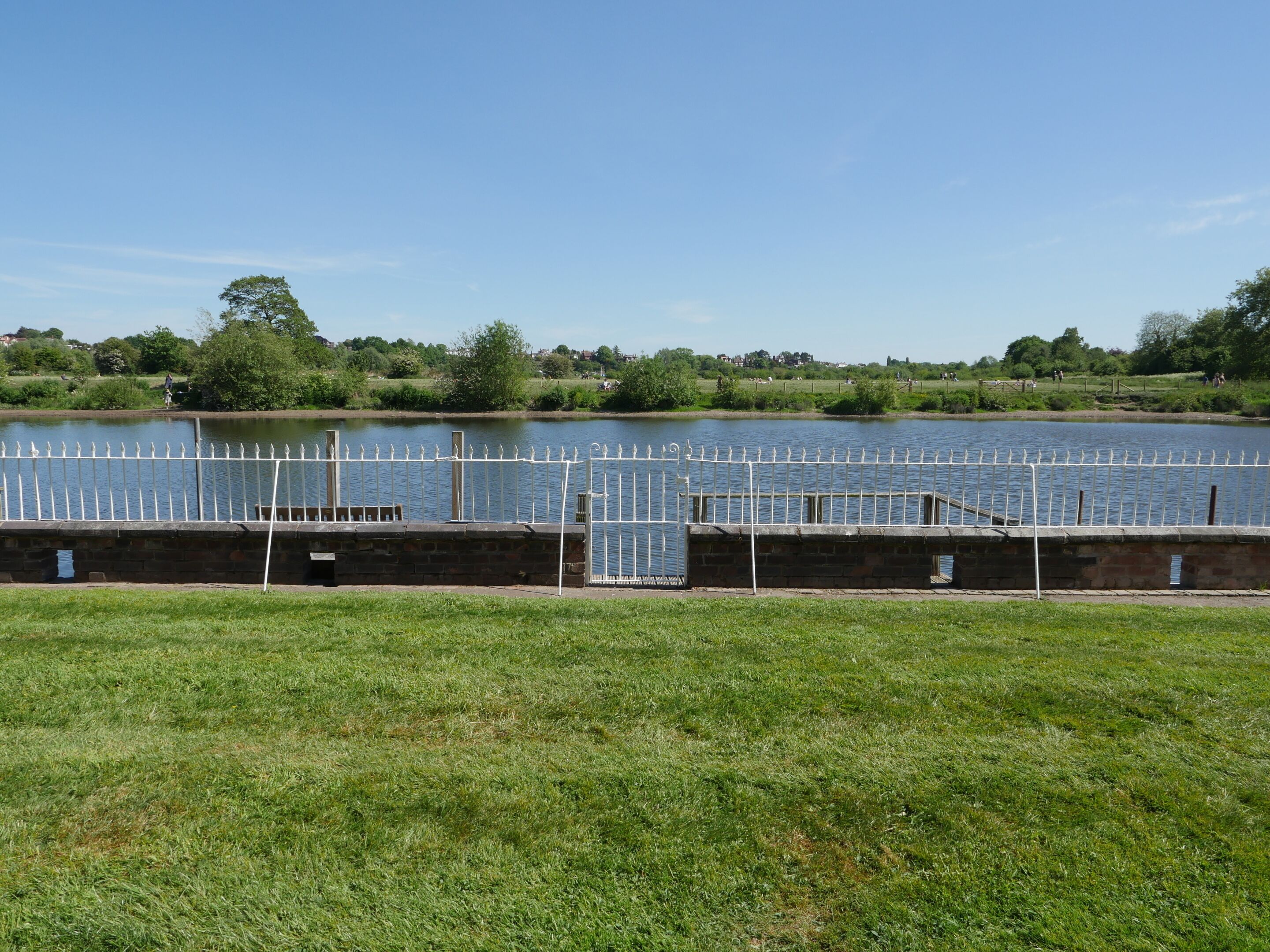 A grassy area with a white metal fence and a body of water.