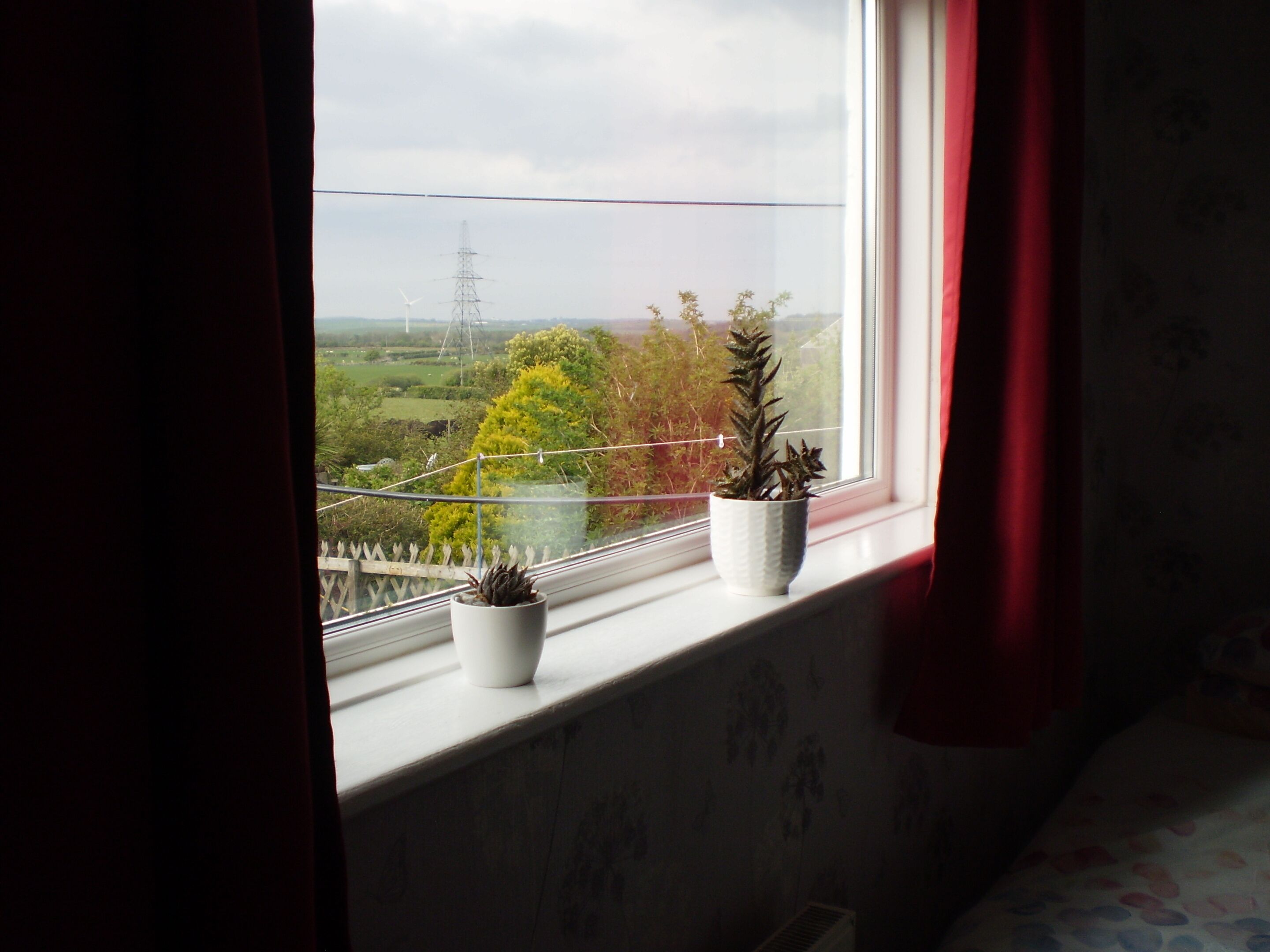 A window with two potted plants on a sill, overlooking a green landscape with trees and a power line tower.