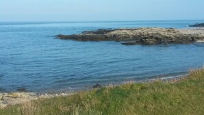A coastal landscape with a rocky outcrop in the water and a grassy foreground.