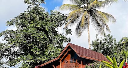 Le Jardin Malanga