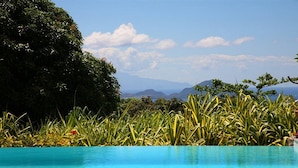 A clear blue pool surrounded by lush greenery and distant mountains. - Le Jardin Malanga (Trois-Rivières)