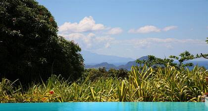 Le Jardin Malanga