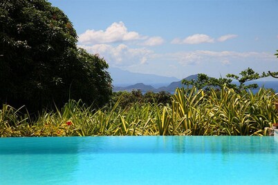 Le Jardin Malanga