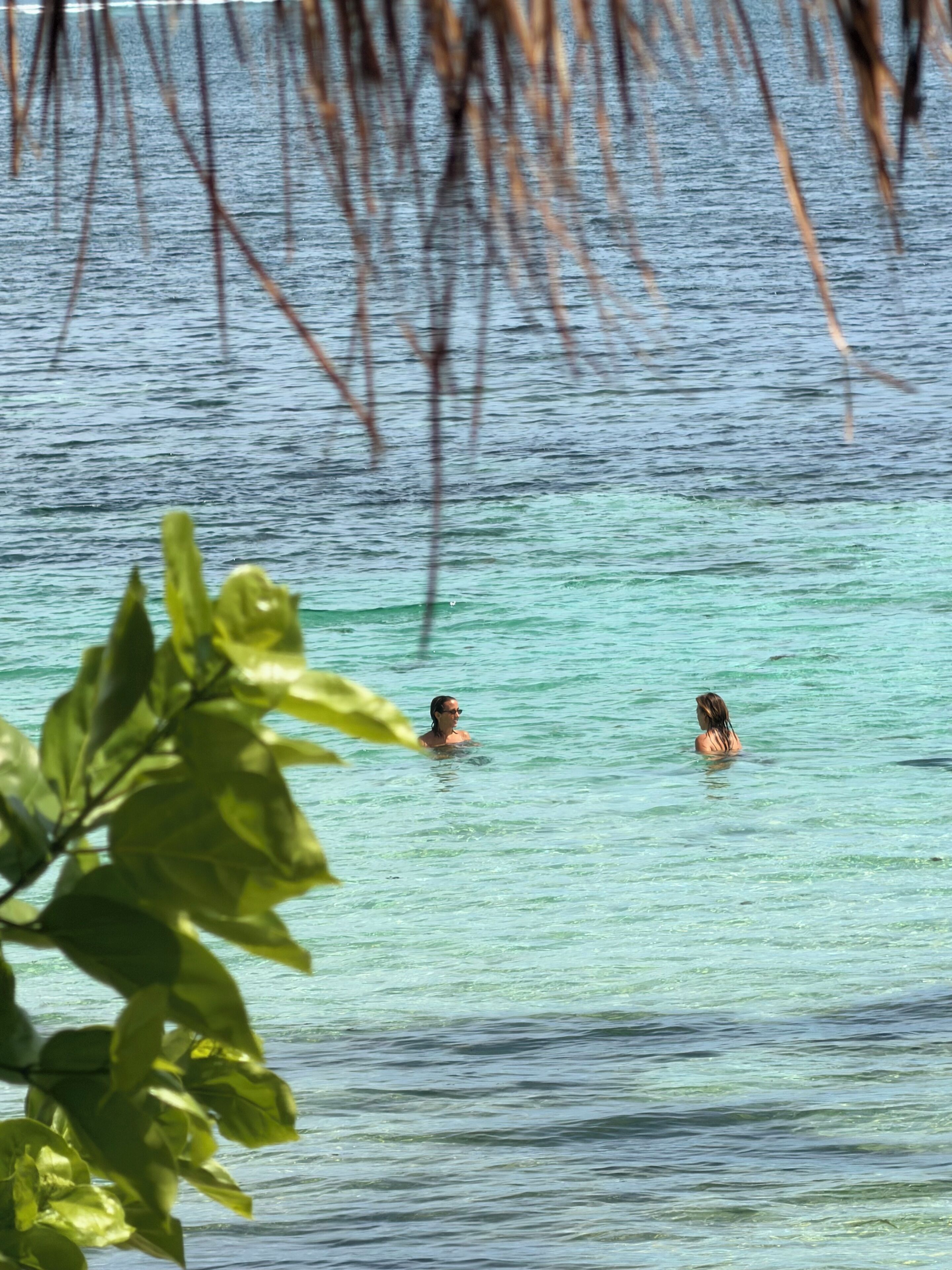 Two people swimming in clear water with a view of the sea and some foliage in the foreground.