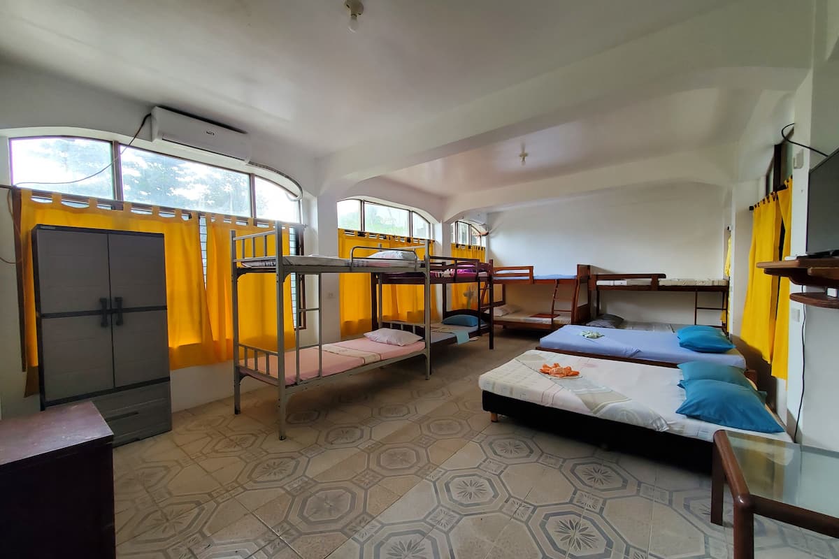 A dormitory room with bunk beds, a wardrobe, and a desk.