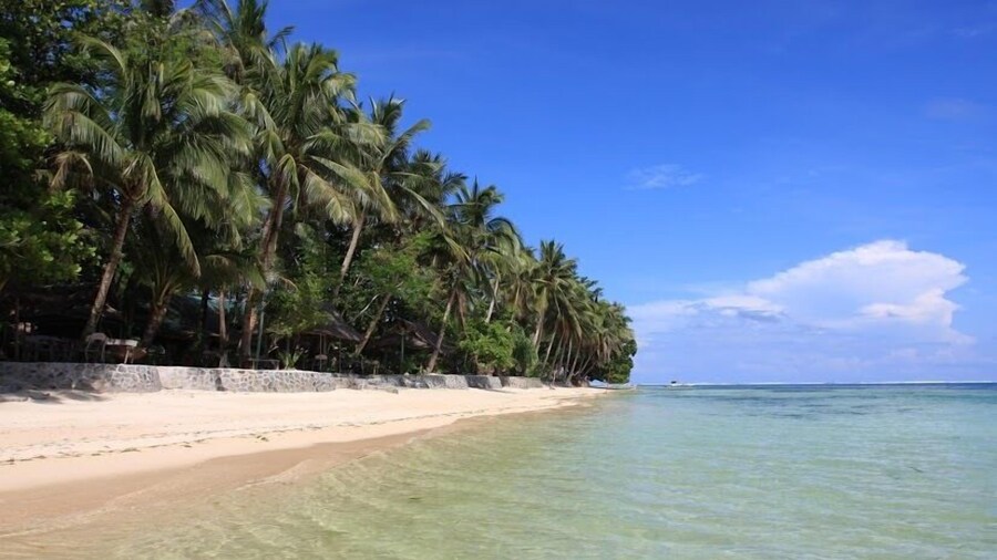 Patrick's on the Beach