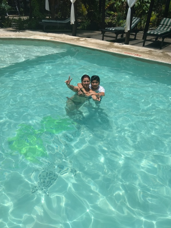 Piscina externa
