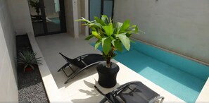 A small outdoor area with a pool, a potted plant, and two lounge chairs. - Magno Suites (Malabo)