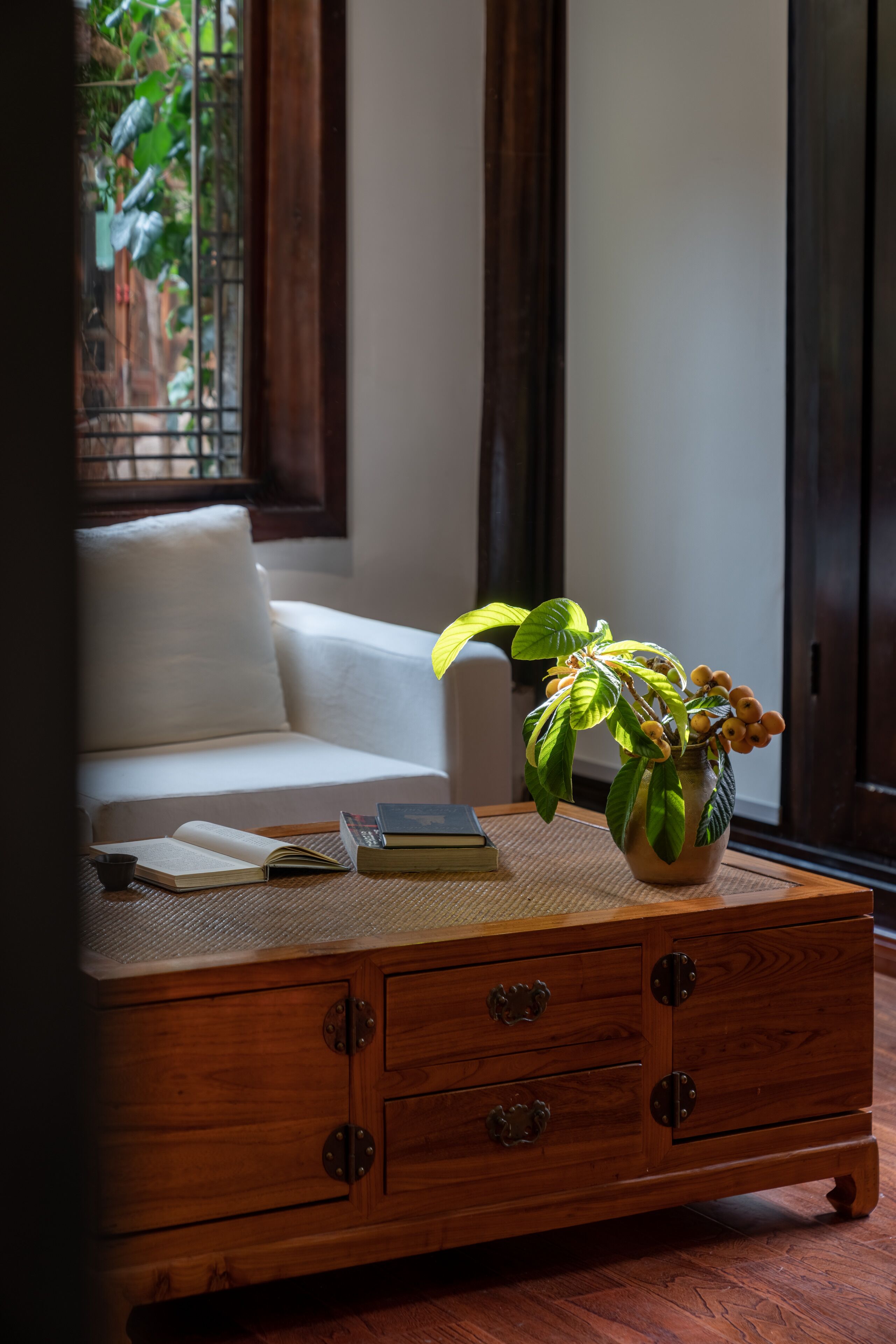 A wooden chest of drawers with a potted plant on top, a white sofa, and a window with a view of greenery.