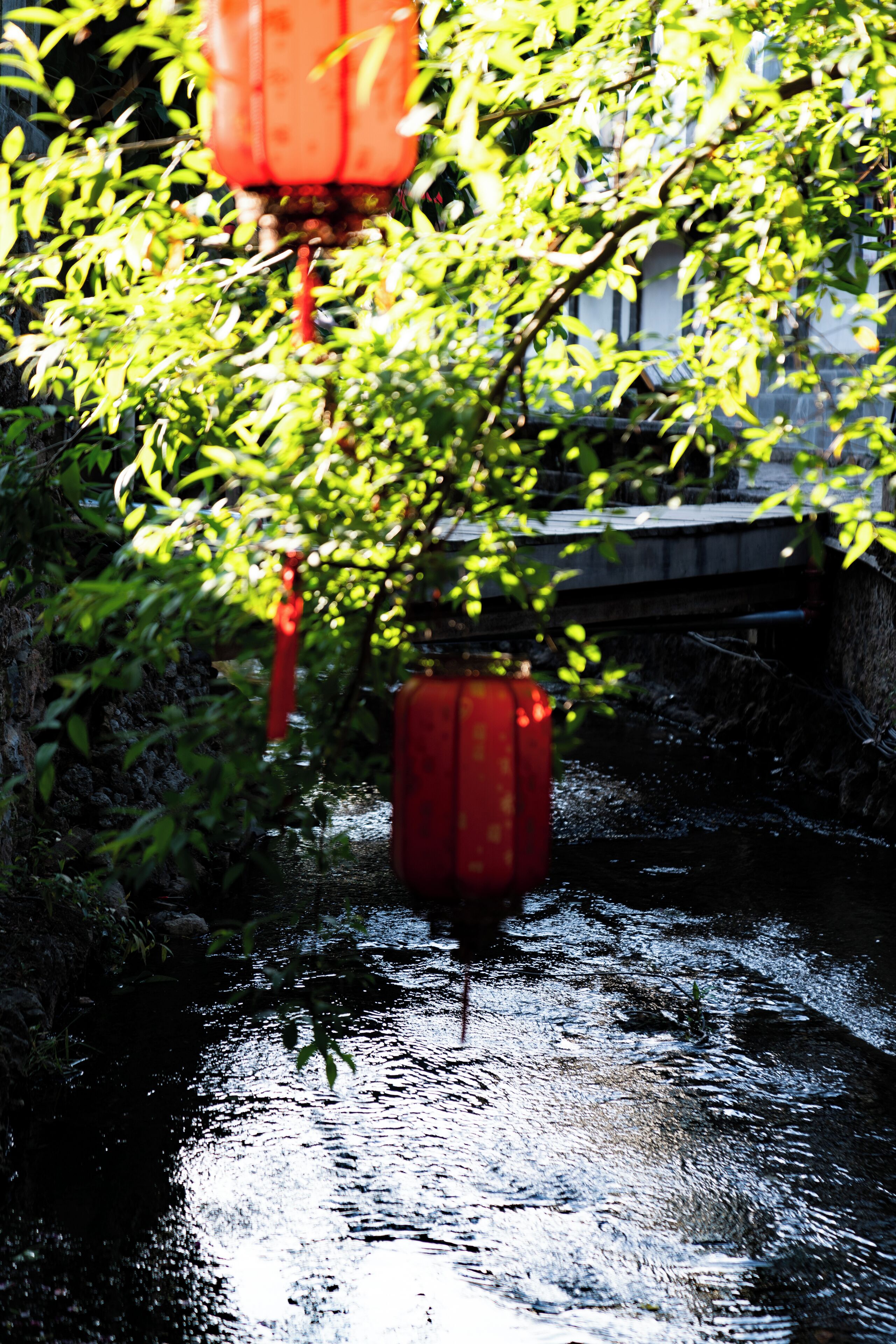 A red lantern hanging over a waterway, surrounded by greenery and a bridge in the background.