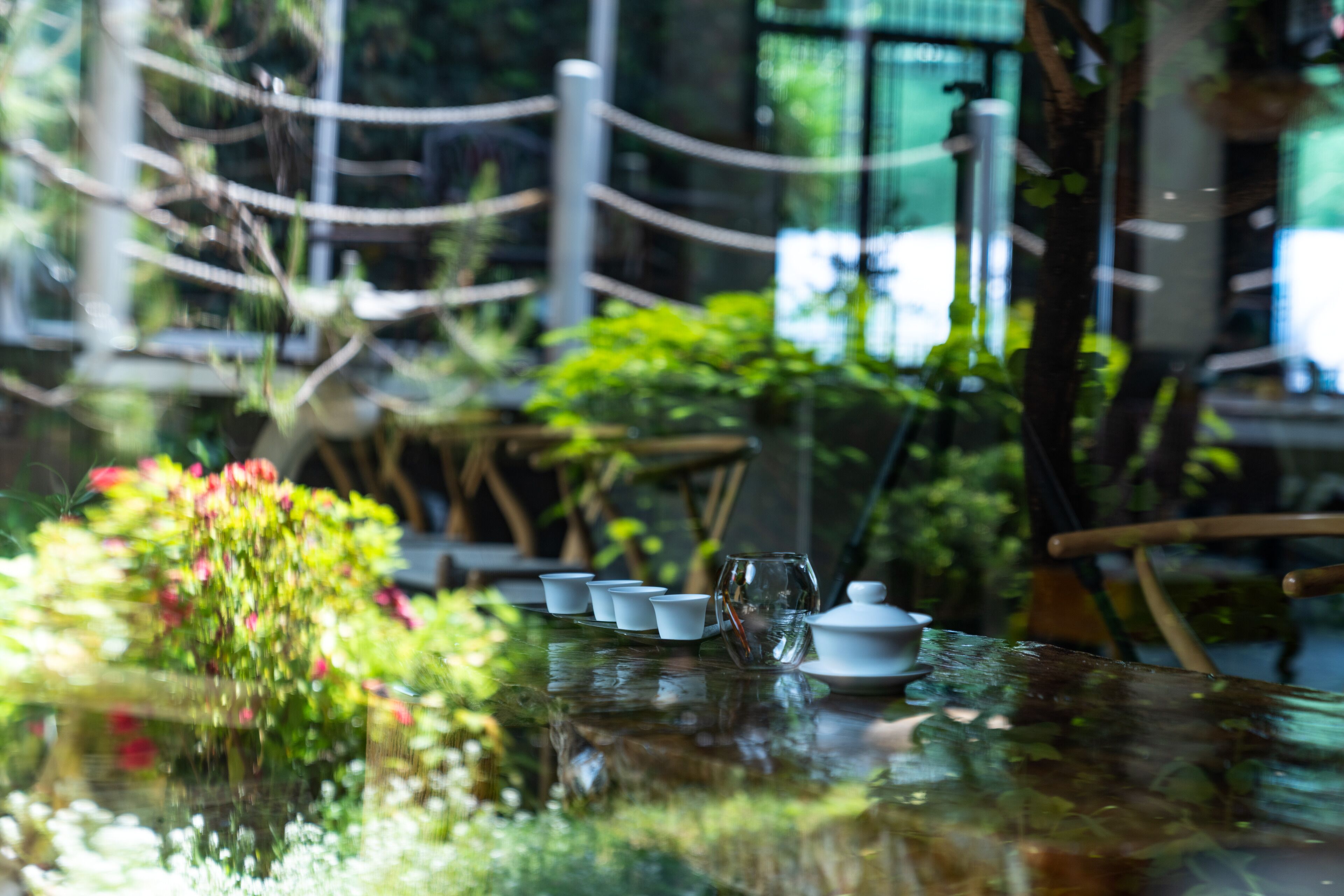 A table with a glass top, surrounded by chairs, and a small plant arrangement.