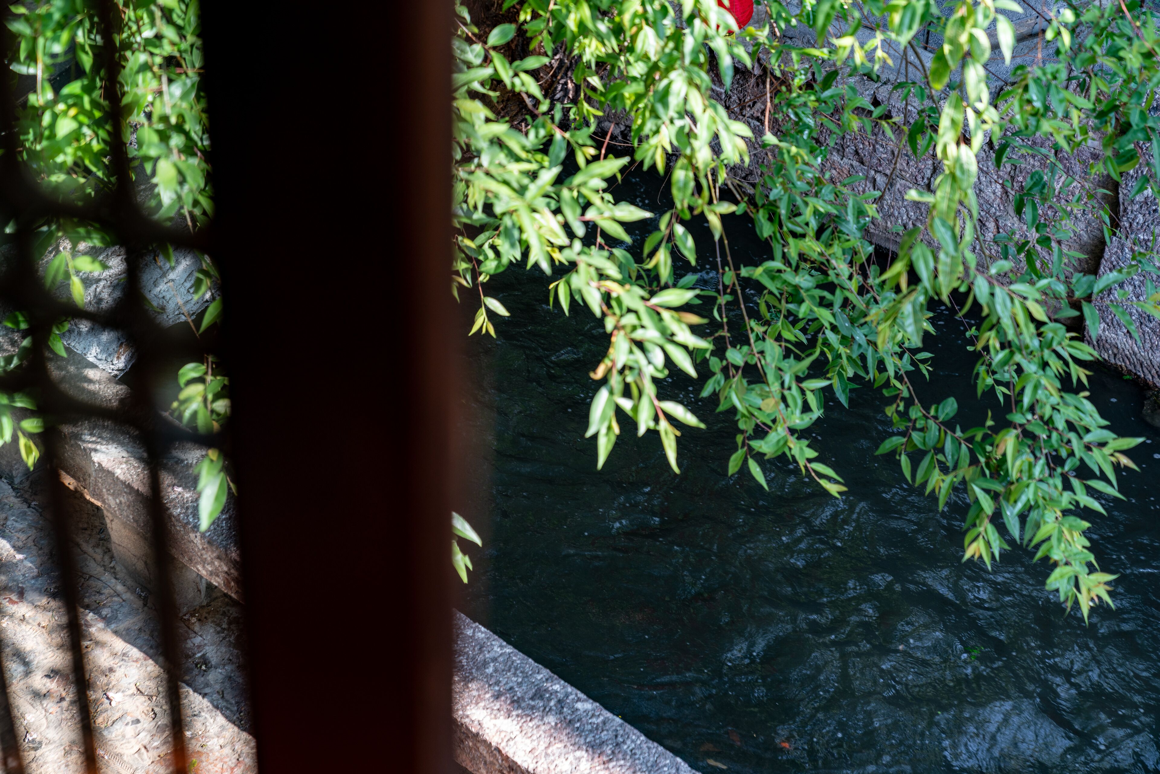 Un ponte di pietra che scavalca una superficie d'acqua tranquilla, circondato da vegetazione lussureggiante e una recinzione in legno.