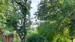 Eine rustikale Holzhütte mit einer Terrasse, umgeben von üppigem Grün und einem Holzzaun.